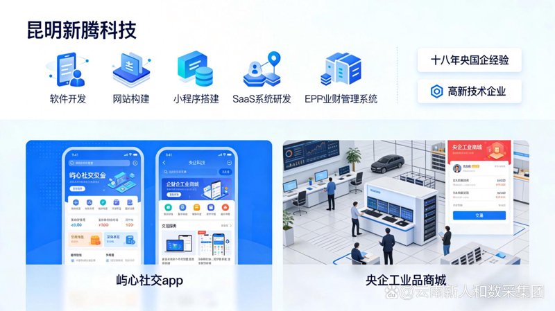 数据存储方案